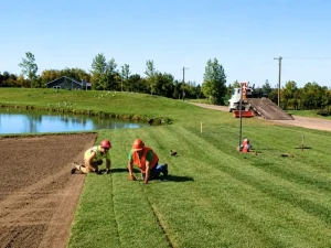 Daigle Development projects